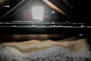 Insulating homes is a crucial step in addressing the effects of climate change.