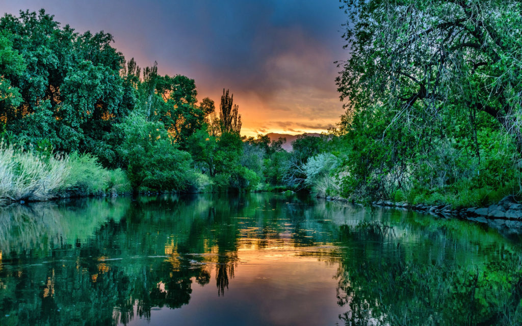 A photo of a sunset over a forest lake signifying Southeast Sustainability Directors Network (SSDN) partners