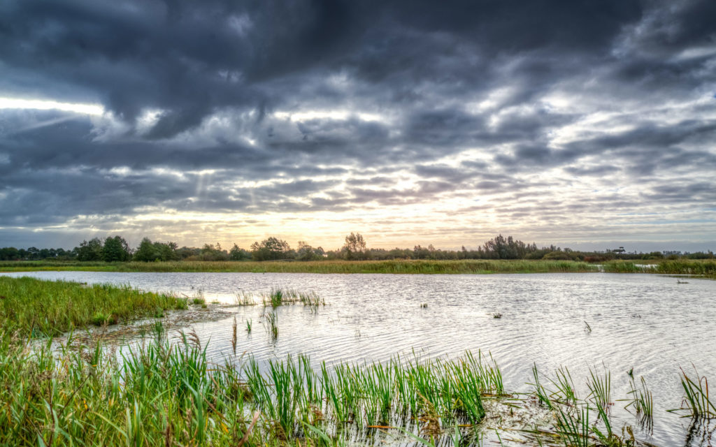 A photo of a cloudy sunset sky over a swamp for SSDN members Louisiana