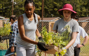 Two women carry a plant