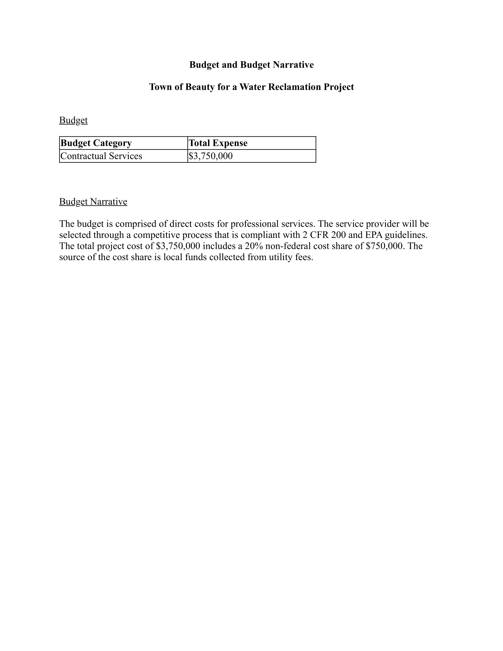 CG Budget and Narrative - Example-1