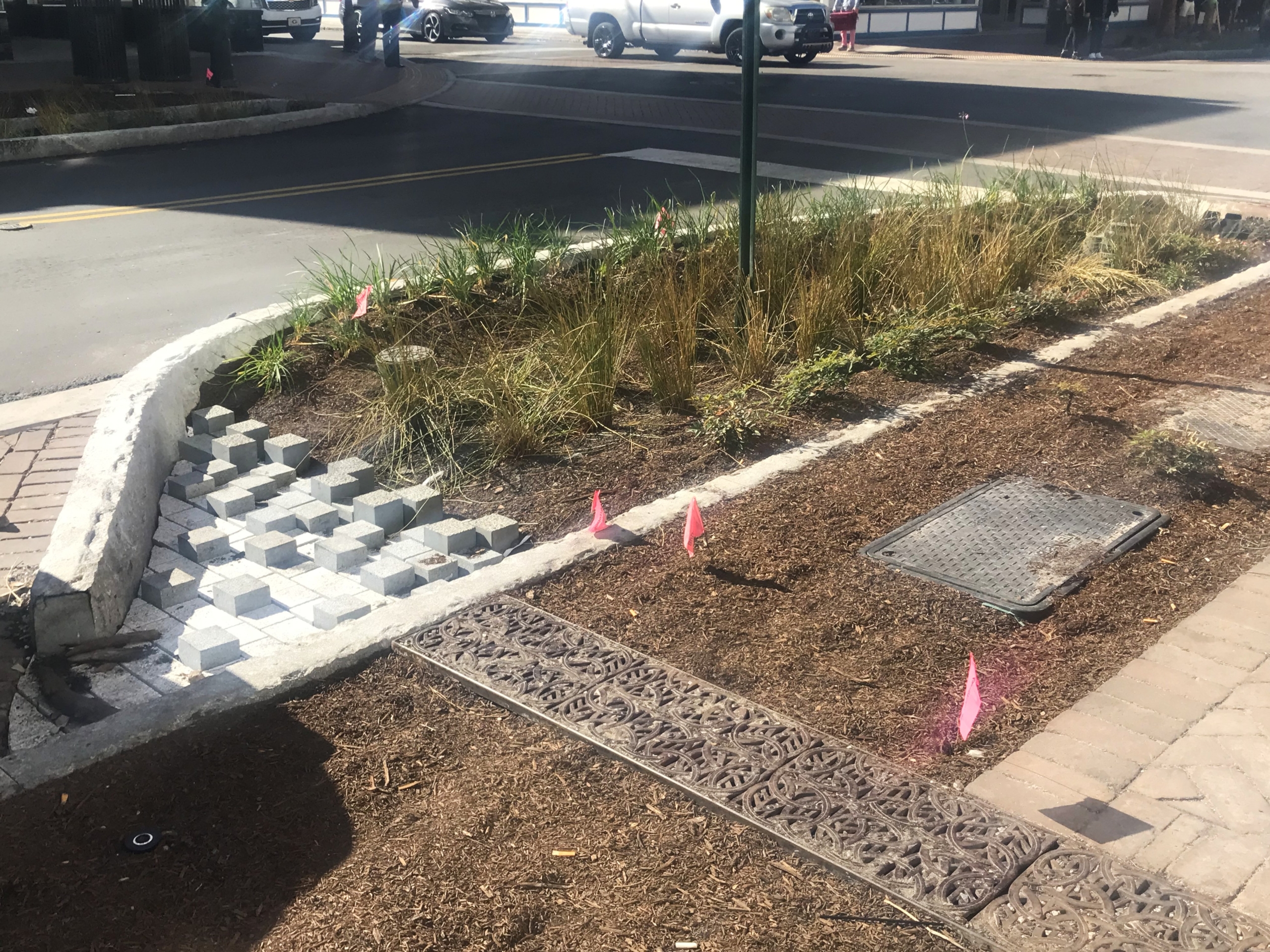 curb with grass and trees behind it