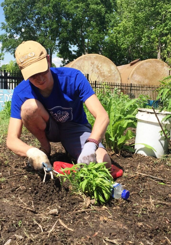 A photo of an SSDN member planting in a community garden in Arkansas.