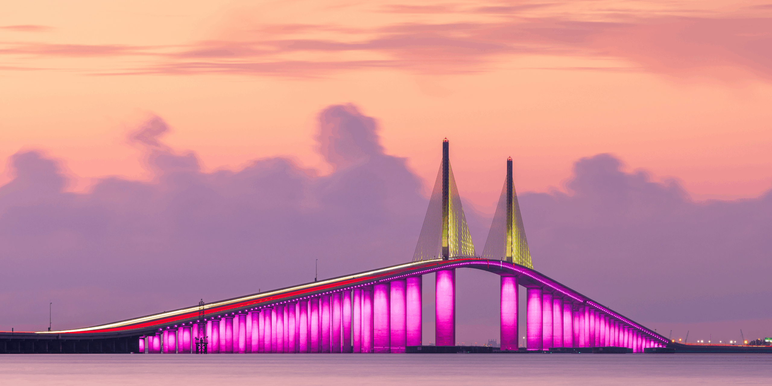 Tampa bridge lit up at night